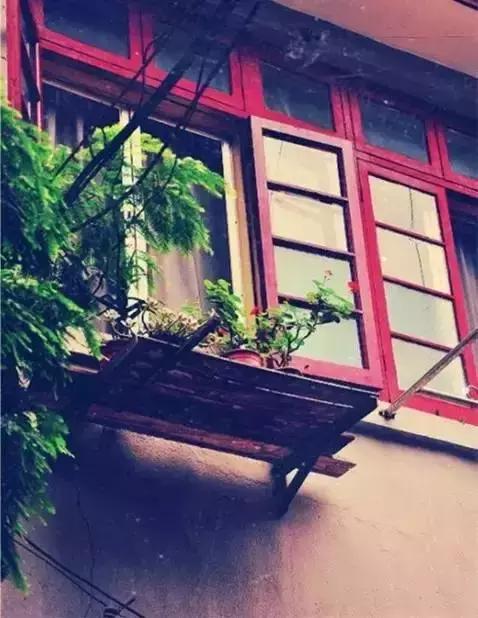情人节过得好，女票生气少~这份指南请收好，记得艾特自己的男票