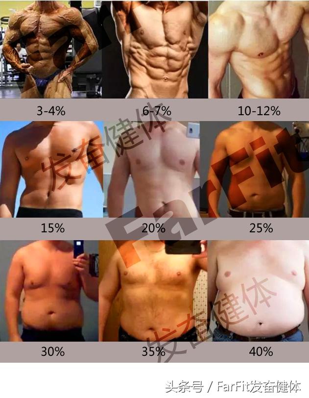 体脂率到底怎么算才准确,体脂最佳标准是什么