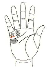 五观堂讲解手相,手相宝库第四讲