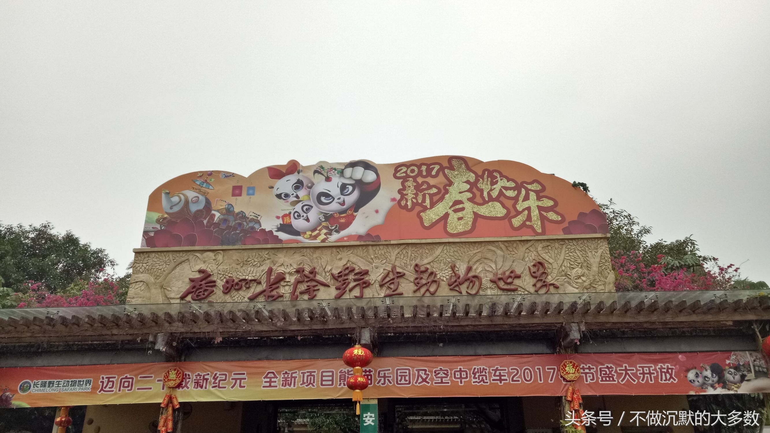 广州长隆野生动物园金蛇秘境直播,长隆野生动物园金蛇秘境害怕吗