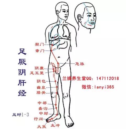 经络调理秘诀小程序,经络治百病