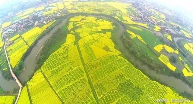 湖南赏花自驾游攻略,湖南旅游赏花攻略