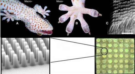 真实的特工黑科技武器,奇特武器大揭秘超级间谍武器