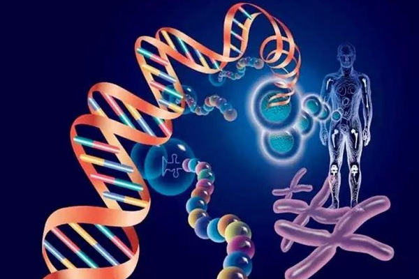 关于高血压的5个常见误区,高血压的十大常见误区