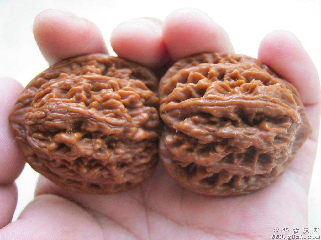 核桃的价值分类有什么,核桃的价值怎么看