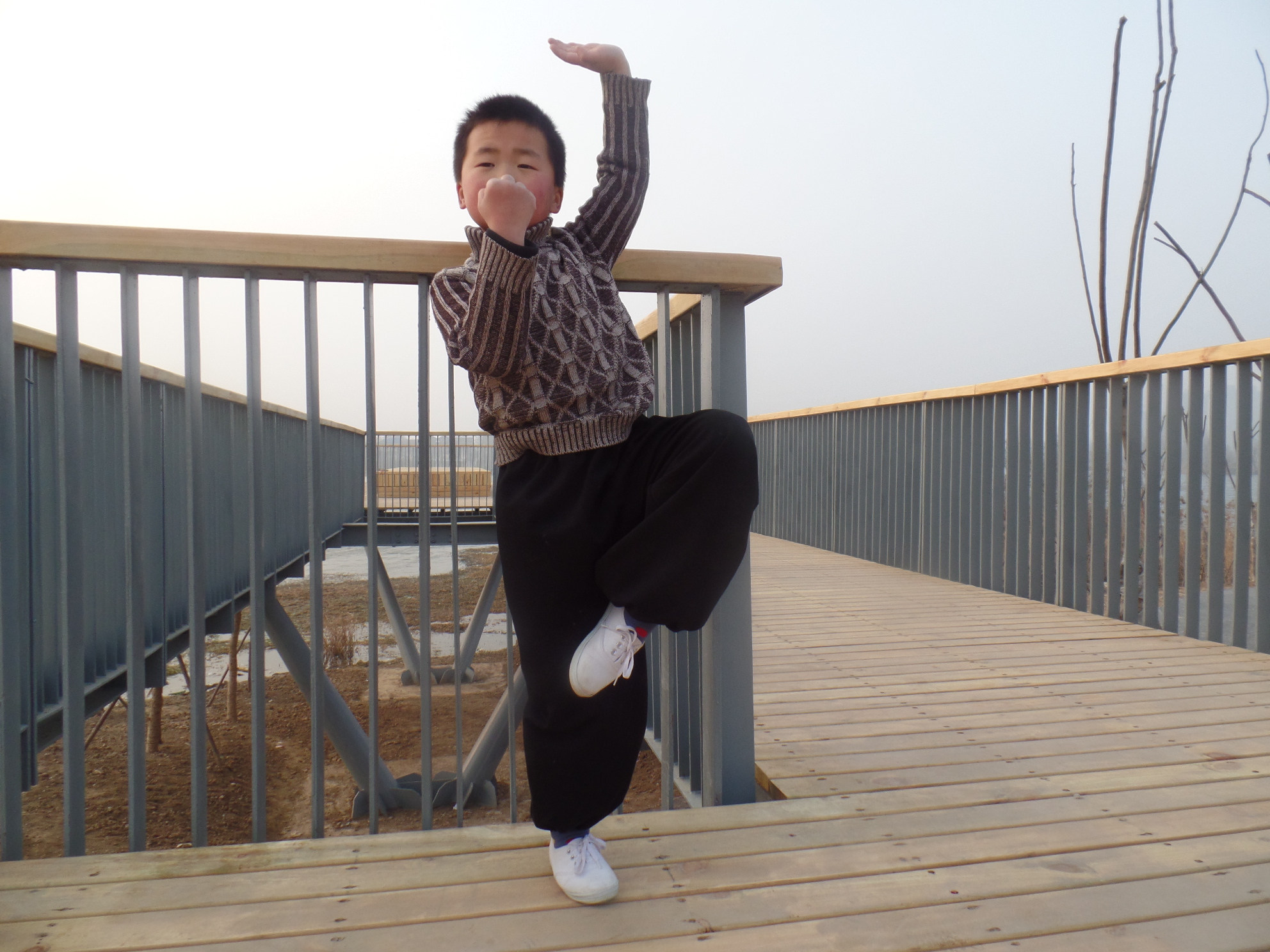 亳州市武术锦标赛,亳州市武术散打锦标赛