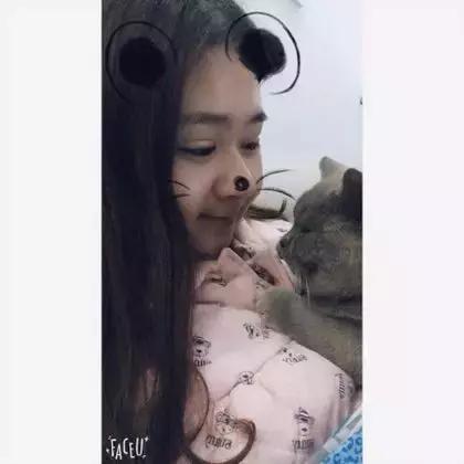 长沙宠物蜥蜴品种有哪些,别人家养的宠物蜥蜴食肉动物