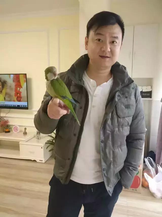 长沙宠物蜥蜴品种有哪些,别人家养的宠物蜥蜴食肉动物