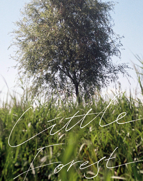 评价最高的十部韩国电影2018,2018评价最高的十部韩国电影