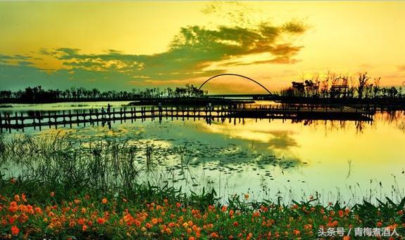 江苏一个四线城市，被誉为地球上的“生命圣地”