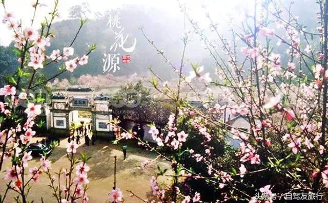 湖南赏花自驾游攻略,湖南旅游赏花攻略