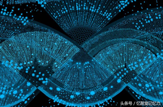 记忆单词前一定要先学会,记忆单词必杀技