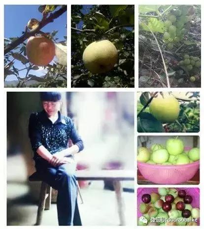 雪地里妈妈种的漂亮多肉,女儿种的多肉