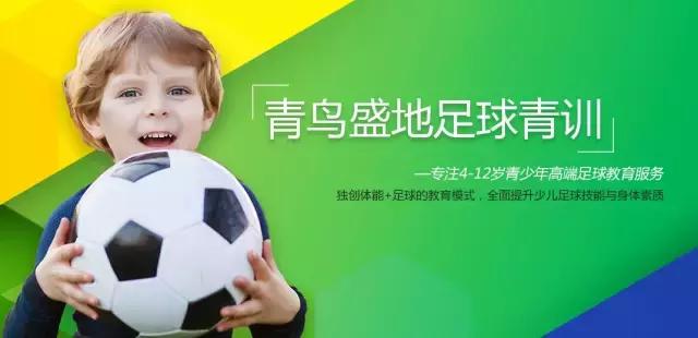青鸟盛地足球俱乐部长沙有限公司,威海青鸟盛地足球青训