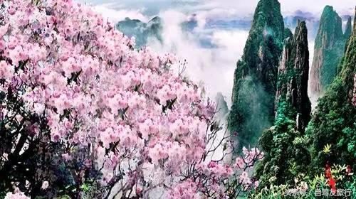 湖南赏花自驾游攻略,湖南旅游赏花攻略