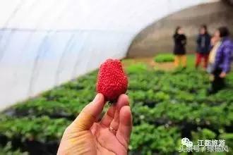 扬州情人节带对象去哪里玩,情人节一定要带女朋友去的地方