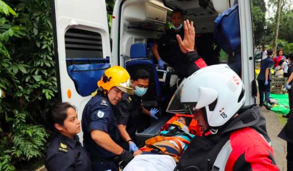 又倒了！那些年新加坡倒掉的大树，和它伤过的人