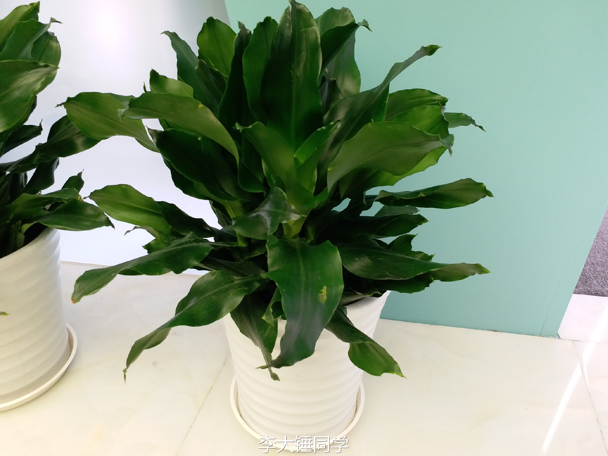 三星galaxyc7评测视频,三星galaxyc7pro对比c7