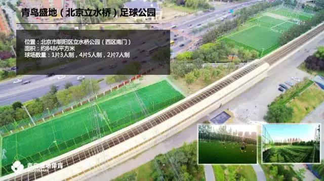 青鸟盛地足球俱乐部长沙有限公司,威海青鸟盛地足球青训