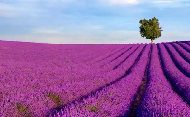 澶ц繛涓栦簨娌ф,澶ц繛鑺濇牴鑺濆簳