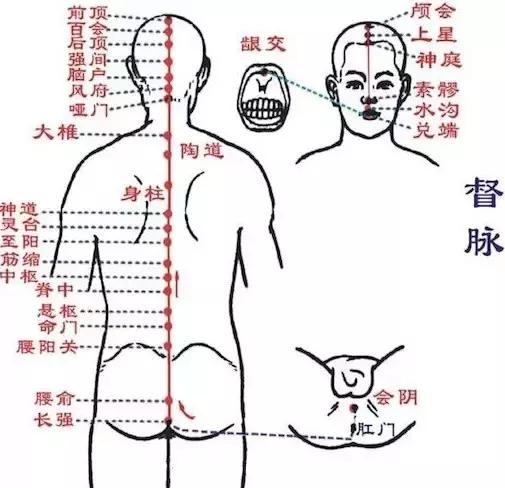 经络调理秘诀小程序,经络治百病