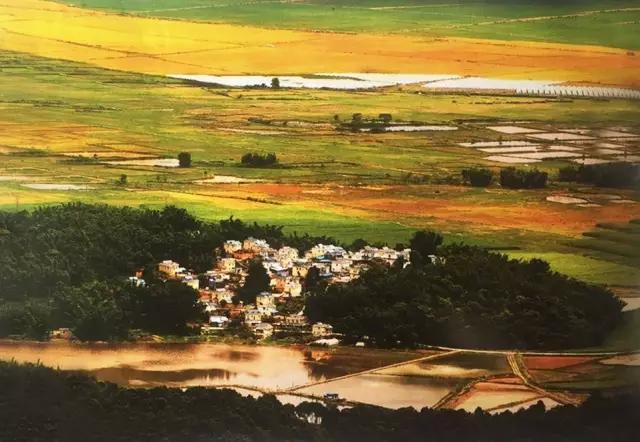 在美丽的西双版纳领略异域风情,美丽的西双版纳体验异国风情