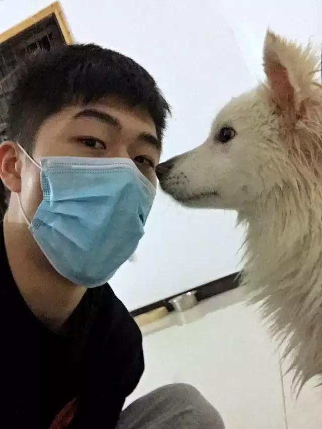 长沙宠物蜥蜴品种有哪些,别人家养的宠物蜥蜴食肉动物