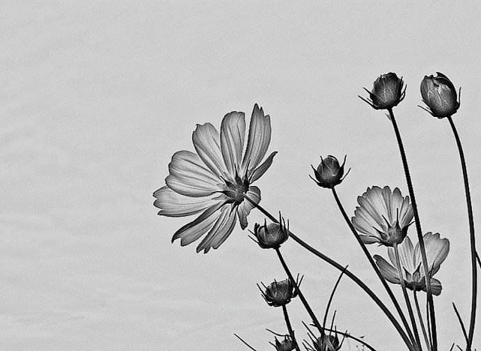 那一年，那一天，我跟他做过的那些“疯狂”的事儿~