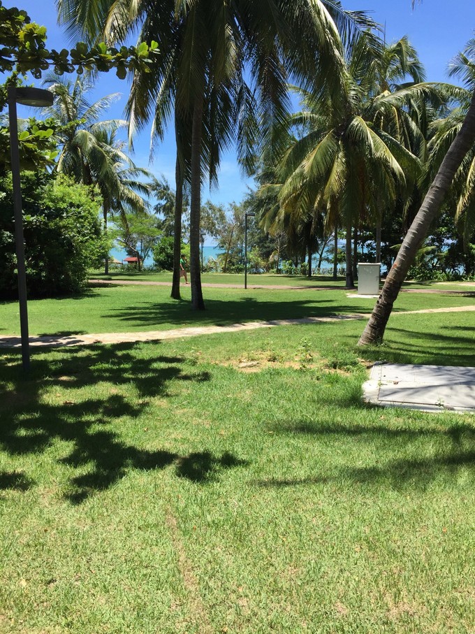 海南三亚旅游时光,海南三亚风景自由行