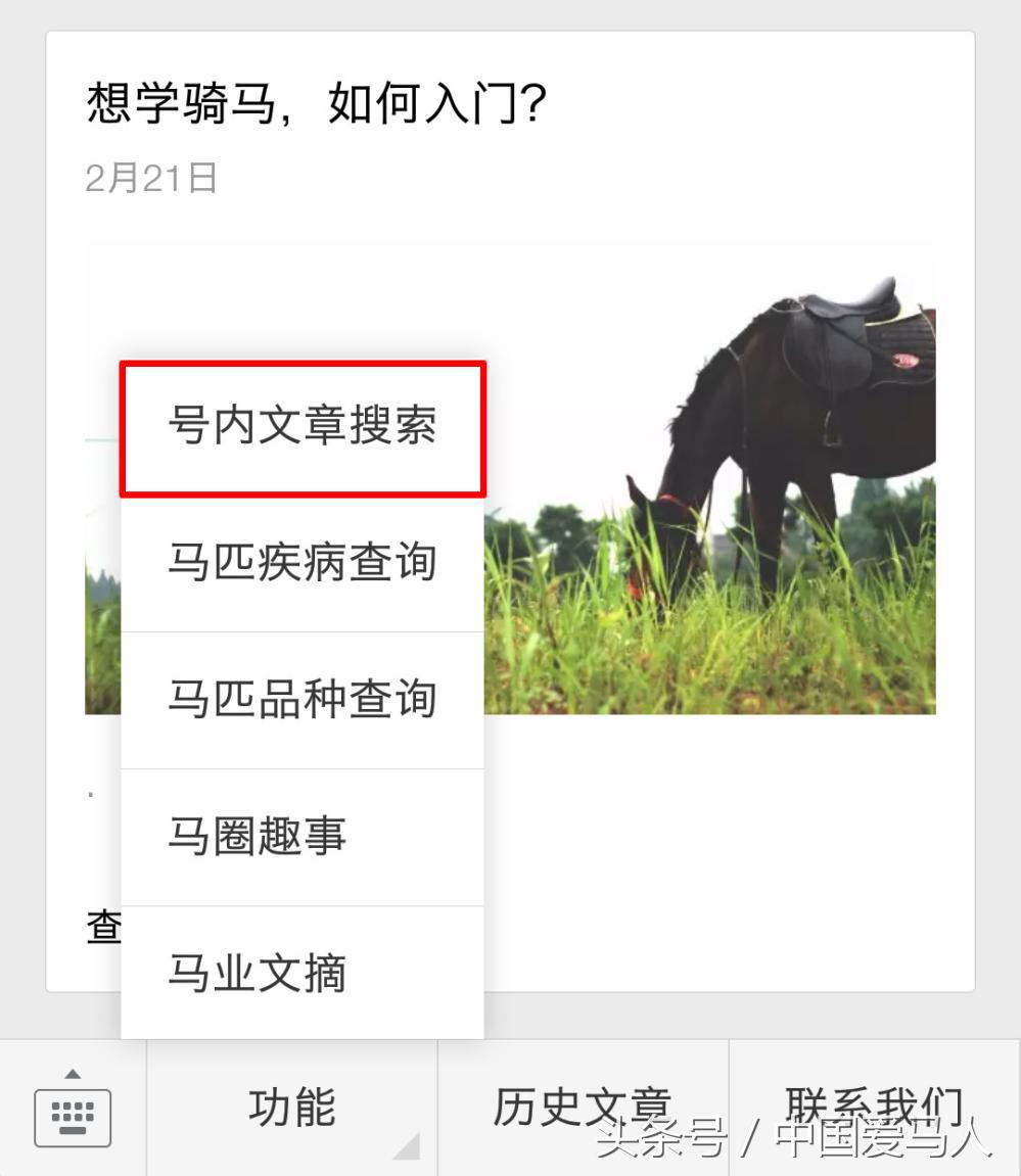 怎样挑选好的公马,公马如何选择母马