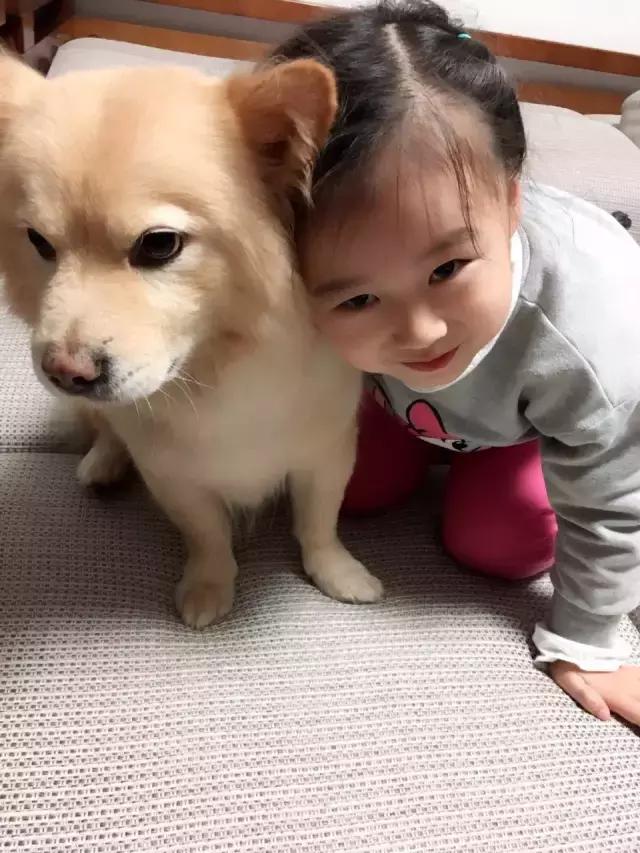 长沙宠物蜥蜴品种有哪些,别人家养的宠物蜥蜴食肉动物