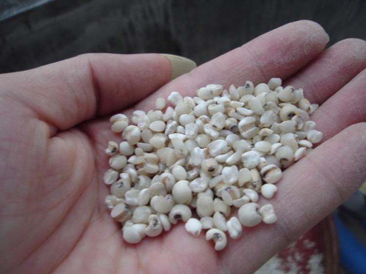 体内湿气危害太大，有多少个雷区被你踩到了