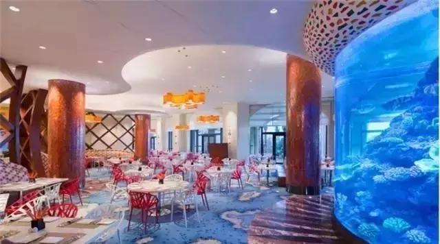 上海疯狂动物城主题酒店,上海迪士尼酒店布置疯狂动物城