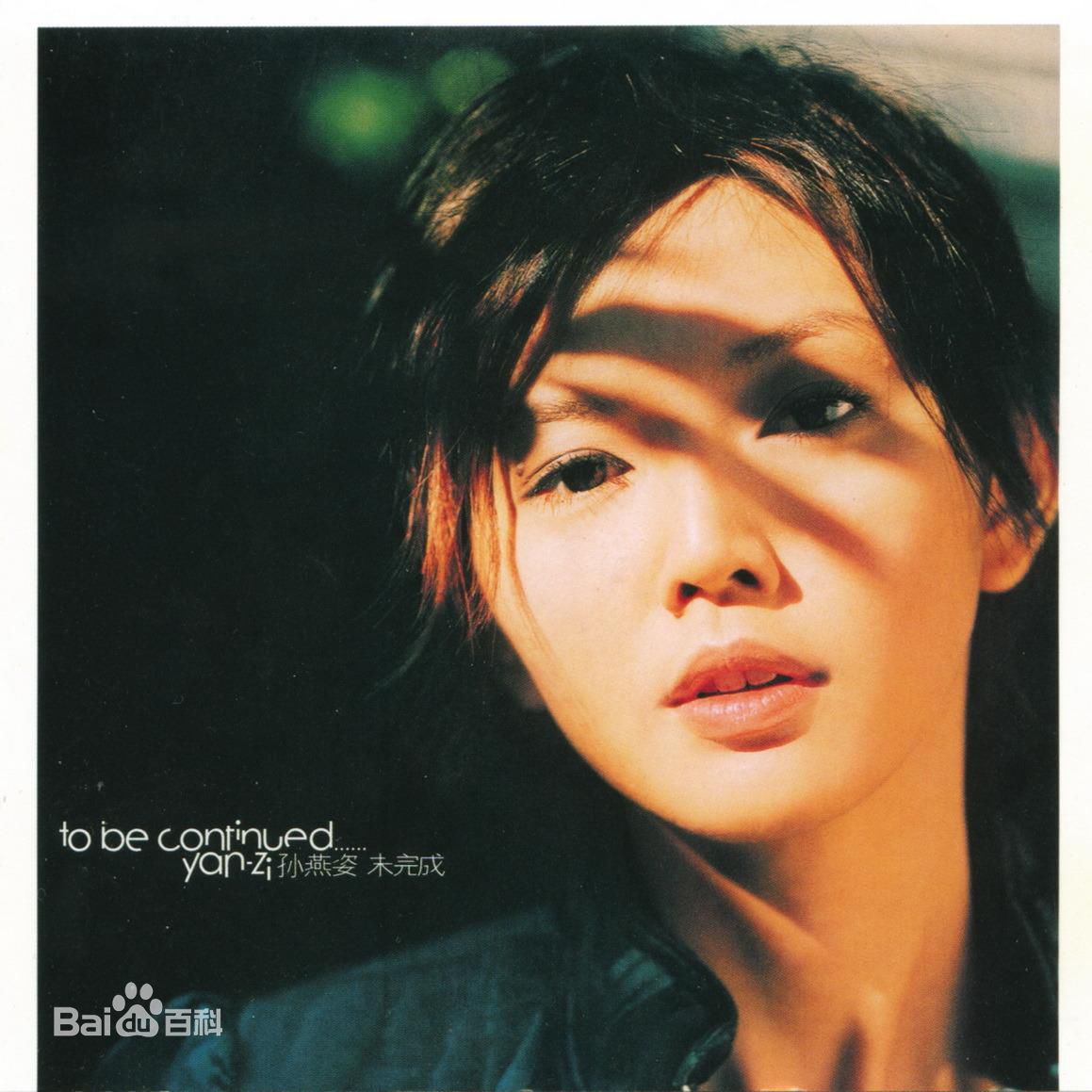 孙燕姿的传奇一生,孙燕姿黄金时代