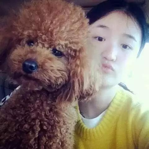 长沙宠物蜥蜴品种有哪些,别人家养的宠物蜥蜴食肉动物