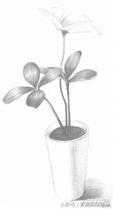 那一年，那一天，我跟他做过的那些“疯狂”的事儿~