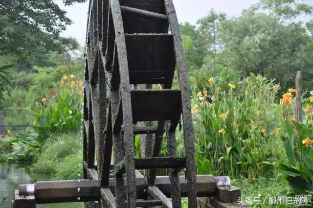 柳州附近农庄适合小孩玩,柳州周边农庄场地推荐