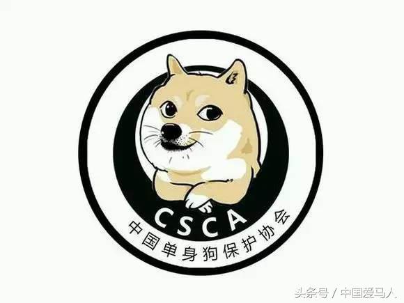 怎样挑选好的公马,公马如何选择母马