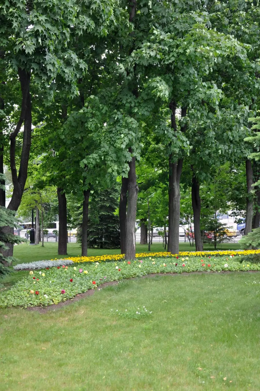 俄罗斯之旅最后一刻,俄罗斯之旅2020