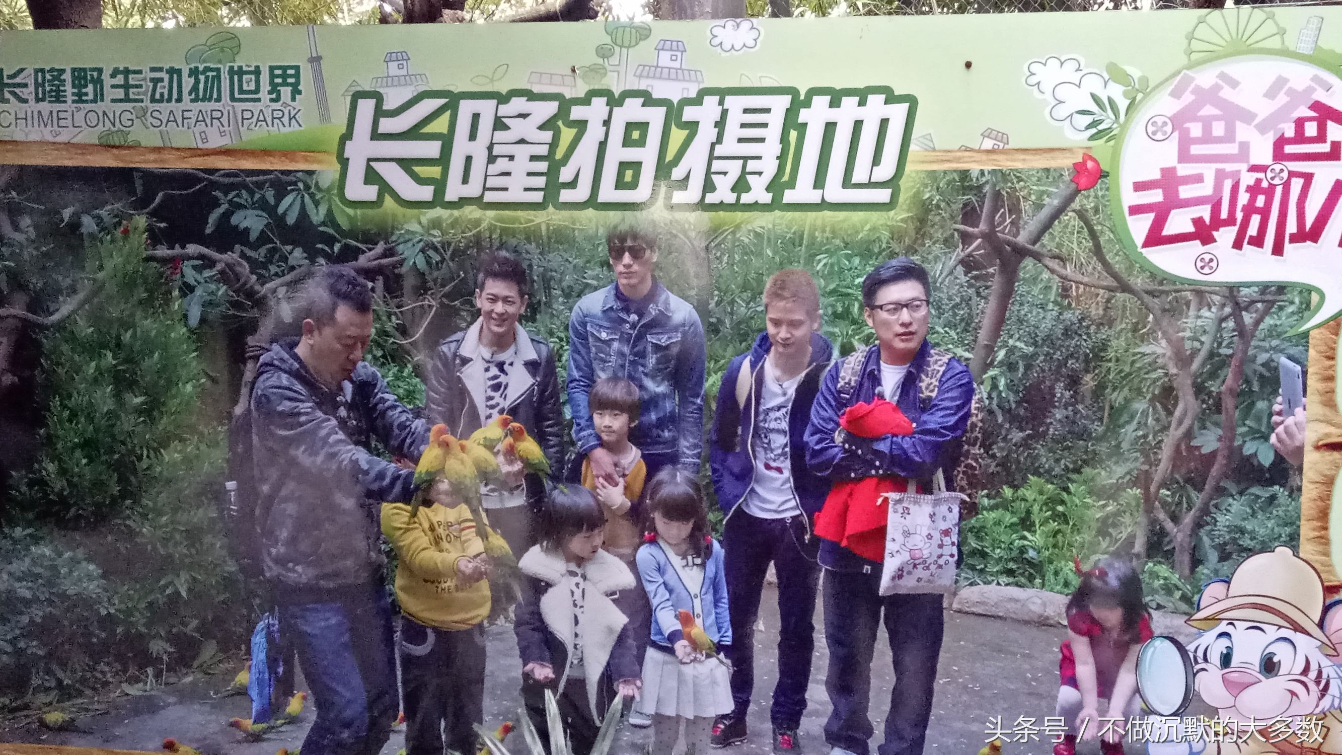 广州长隆野生动物园金蛇秘境直播,长隆野生动物园金蛇秘境害怕吗