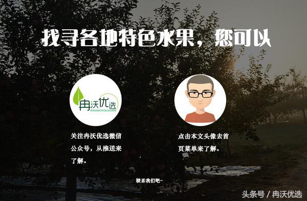 河南特点水果图片,豫西特产灵宝大枣价格