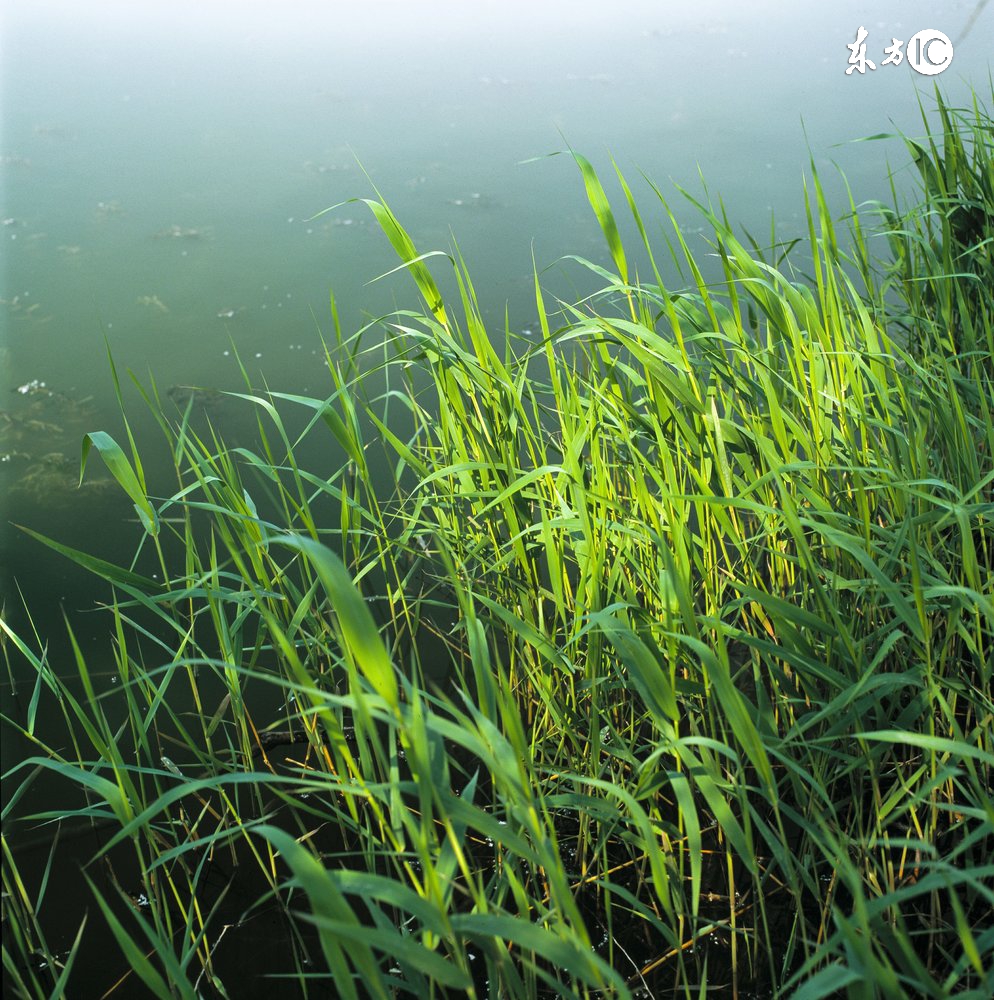 连载｜总裁商道：权力只能让人屈服，德行才能让人信服