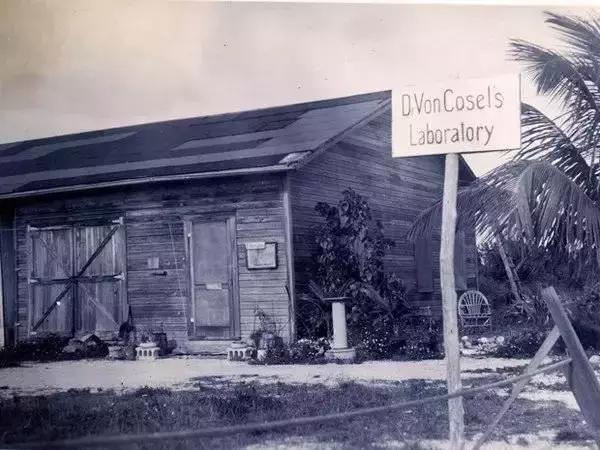 他把爱人尸体缝成洋娃娃，在一起长达7年