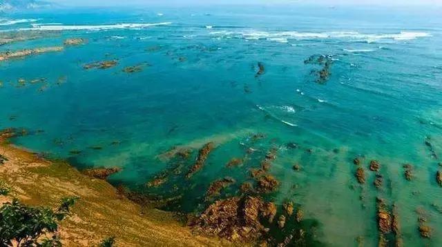 澶ц繛涓栦簨娌ф,澶ц繛鑺濇牴鑺濆簳