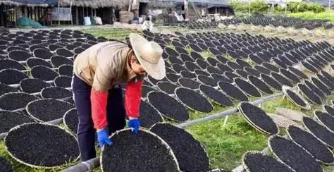 11大商场45家好吃餐厅，上海各大商场觅食指南，逛到哪吃到哪