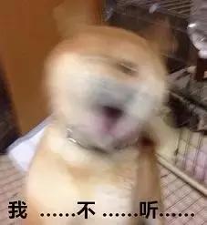 扫雷是赌博吗,扫雷赌博是什么意思