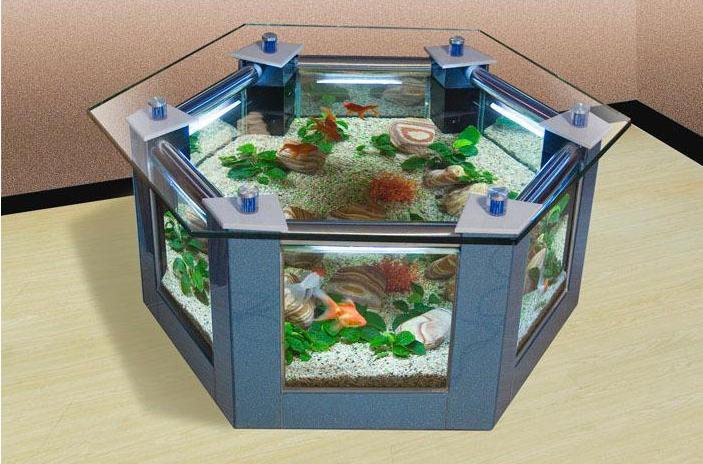 客厅鱼缸的摆放有什么禁忌,书房鱼缸摆放风水禁忌