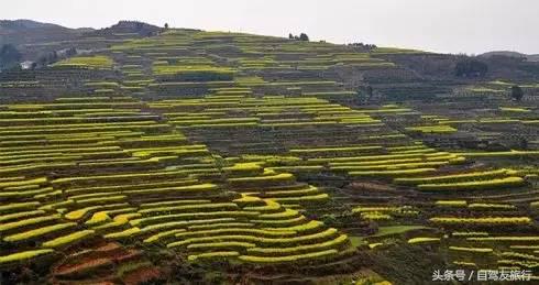 湖南赏花自驾游攻略,湖南旅游赏花攻略