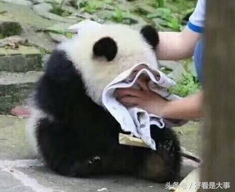 黑眼圈真的就没办法了吗,黑眼圈真的没办法了吗