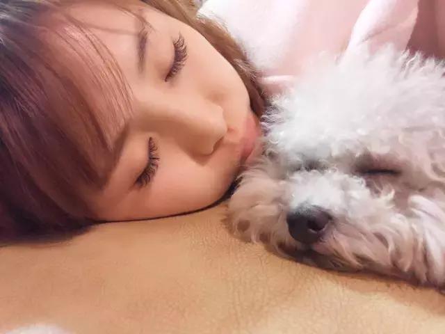 长沙宠物蜥蜴品种有哪些,别人家养的宠物蜥蜴食肉动物